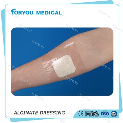 Huizhou Foryou Medical 2g Alginate Pad Pansement Alginate Gel Pansement Calcium